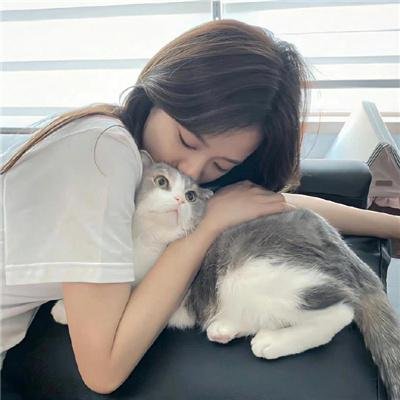红楼梦第六部